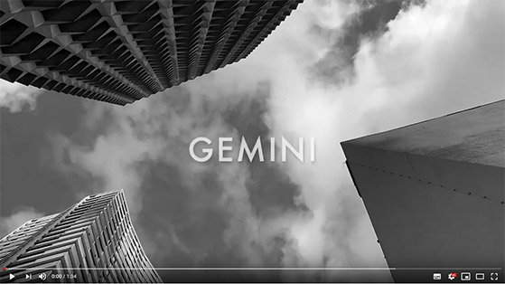 EIML Paris | Projet Groupe Gemini, gagnant du Luxury Challenge 2020