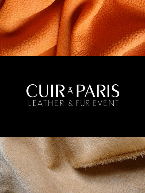 Visite du Salon Le Cuir à Paris EIML Paris