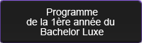 Consulter le programme du Bachelor Luxe