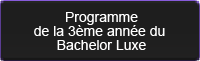 Consulter le programme du Bachelor Luxe