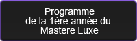 Consulter le programme du Mastère Luxe